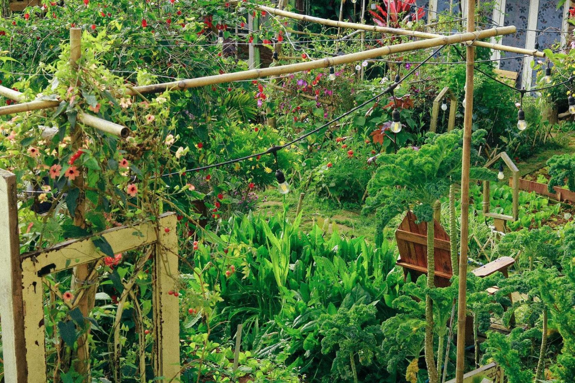 Ferienwohnung The Burrow Dalat Exterior foto